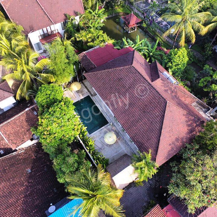 The Royal Palm Villa Ubud Exterior foto